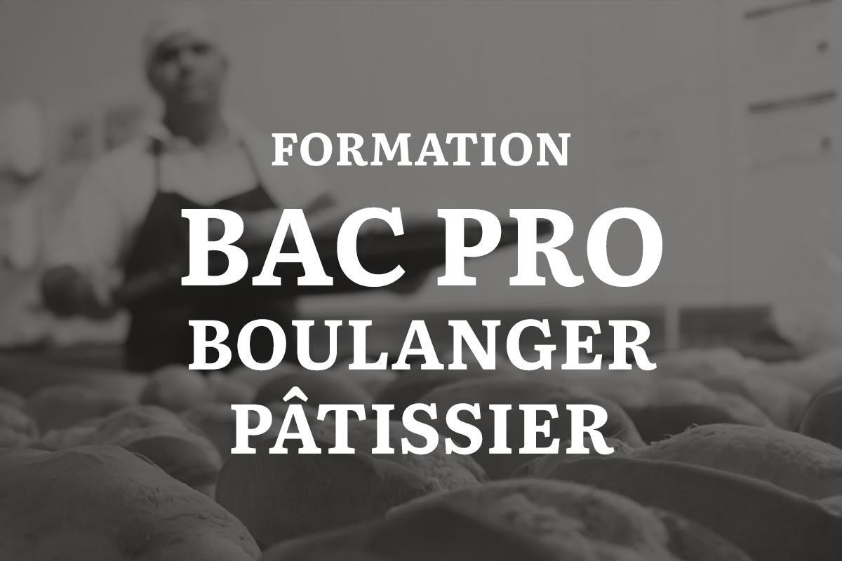 Formation bac pro boulanger pâtissier